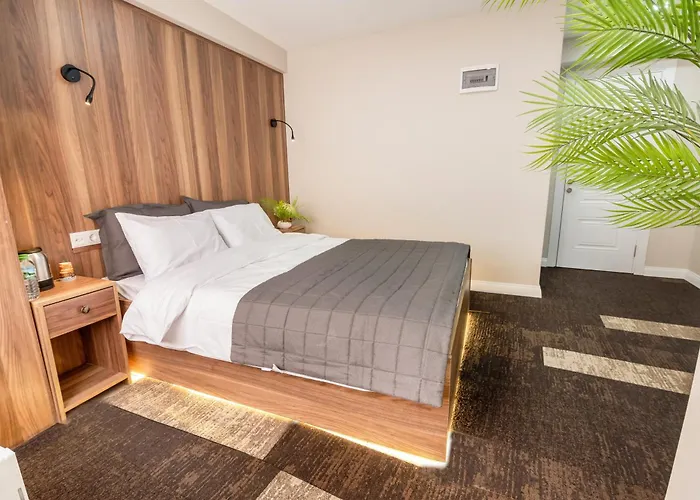 Piola Hotel Kadikoey 3* اسطنبول